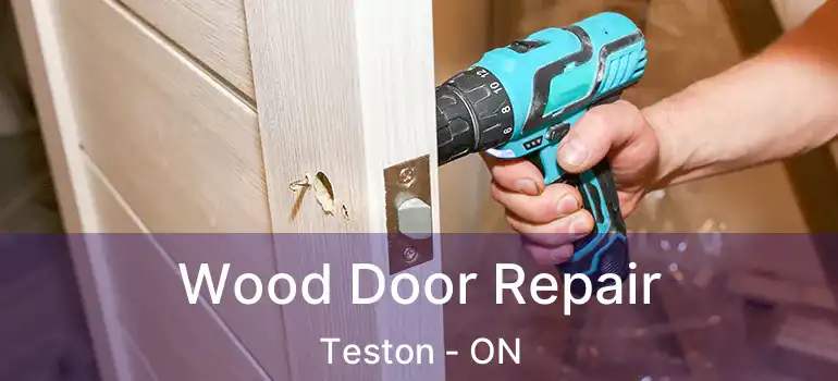  Wood Door Repair Teston - ON