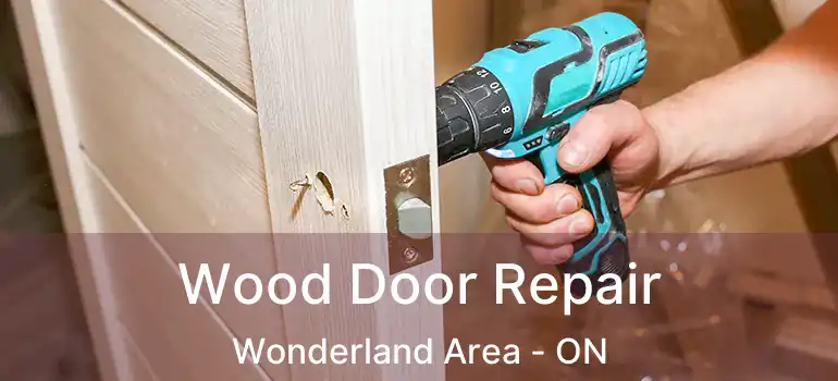  Wood Door Repair Wonderland Area - ON